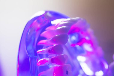 Diş sağlıklı diş modeli