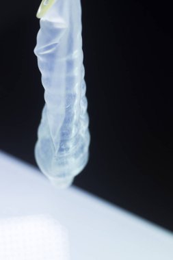 Kauçuk prezervatif kontraseptif