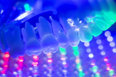 Diş diş kökleri modeli