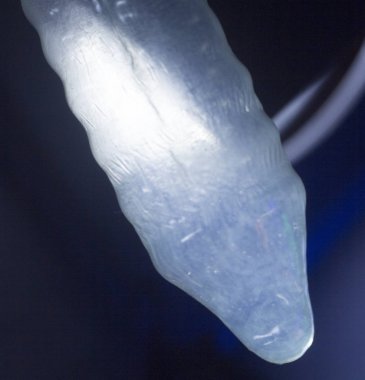 Kauçuk prezervatif kontraseptif