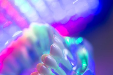 Diş hekimi diş modeli