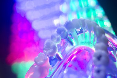 Diş hekimi diş modeli