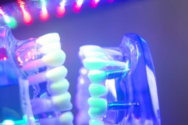 Ortodontik diş diş modeli