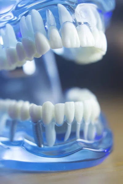 Denti dentali bocca salute — Foto Stock