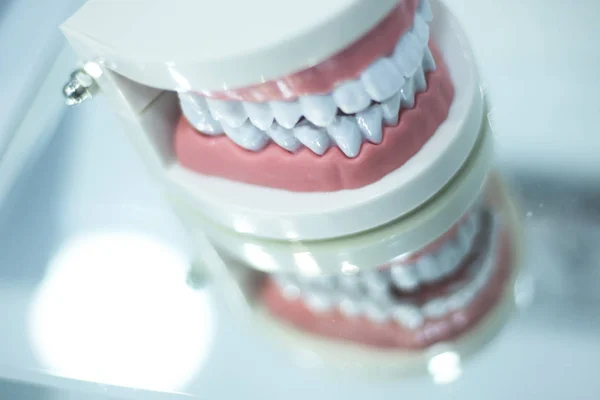 Denti dentali modello bocca — Foto Stock