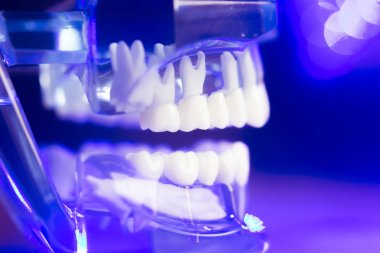 Diş diş klinik modeli