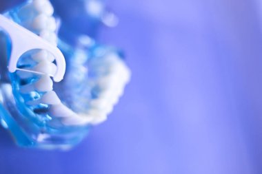 İnterdental Diş Temizleme