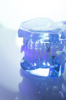 Diş diş diş hekimleri modeli