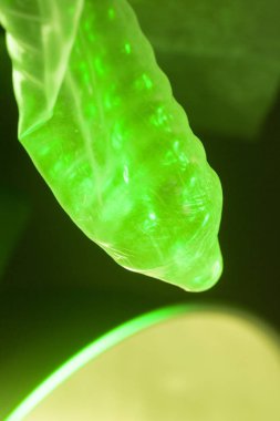 Kauçuk prezervatif kontraseptif