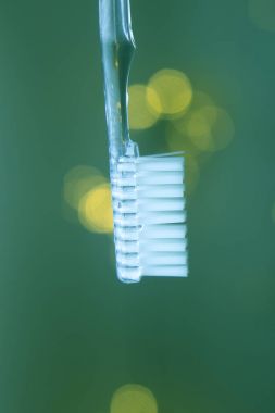 Diş diş fırçası portre