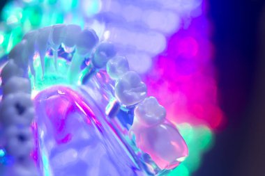 Diş hekimi diş modeli