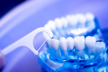 İnterdental Diş Temizleme