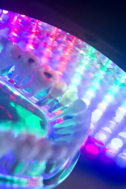 Diş hekimi diş çürümesi modeli