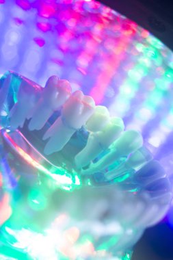 Diş hekimi diş modeli