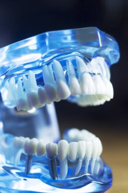 Diş diş ağız sağlığı