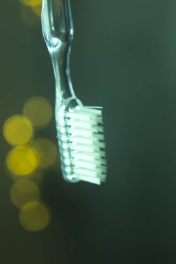 Diş diş fırçası portre