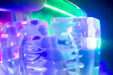 Diş sağlığı diş modeli