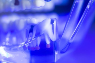 Diş diş kök sinir