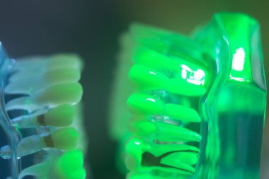 Diş diş çene modeli