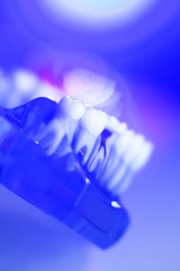 Diş diş diş modeli