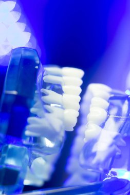 Diş diş klinik modeli