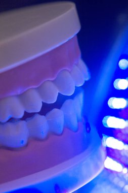 Diş diş çene modeli