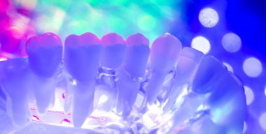 Diş sağlığı diş modeli