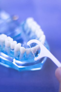 İnterdental Diş Temizleme