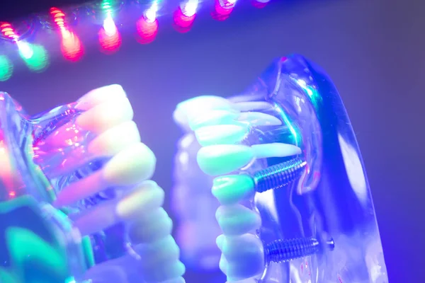 Ortodontik diş diş modeli