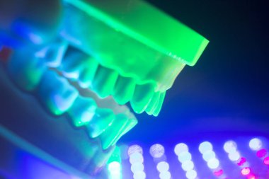 Diş diş çene modeli