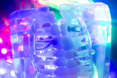 Diş sağlığı diş modeli