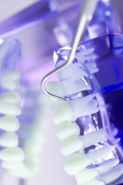 Diş diş dişçi modeli