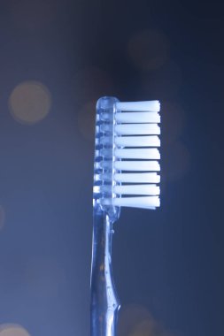 Diş diş fırçası portre