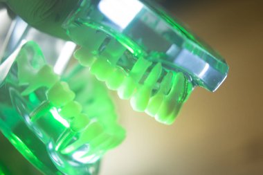 Diş ağız diş modeli