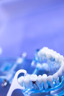 İnterdental Diş Temizleme