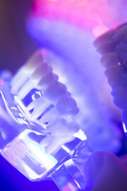 Diş diş kökleri modeli