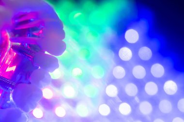 Diş sağlığı diş modeli