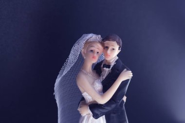 Gelin Damat Düğün çifti