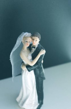 Gelin Damat Düğün çifti