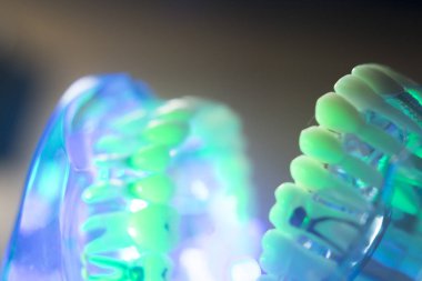 Diş ağız diş modeli