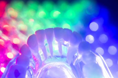 Diş sağlığı diş modeli