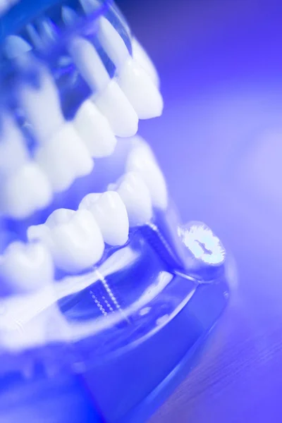 Modello di denti di allineamento dentale — Foto Stock