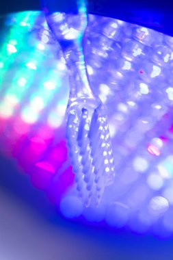 Diş diş fırçası portre