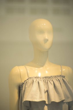 Bayan moda vitrin
