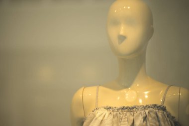 Bayan moda vitrin