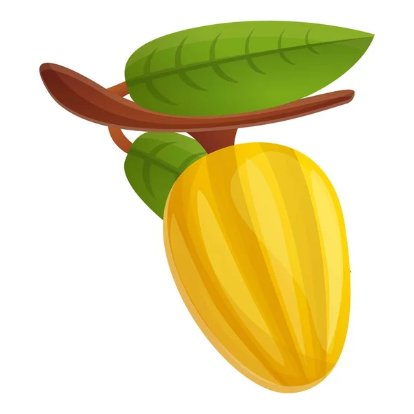 Icono de fruta de cacao crudo, estilo de dibujos animados — Vector de stock