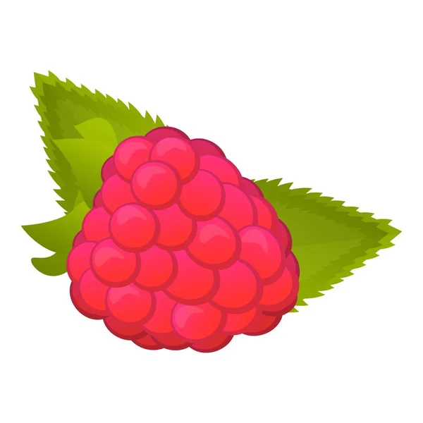 Icono de frambuesa de fruta, estilo de dibujos animados — Archivo Imágenes Vectoriales