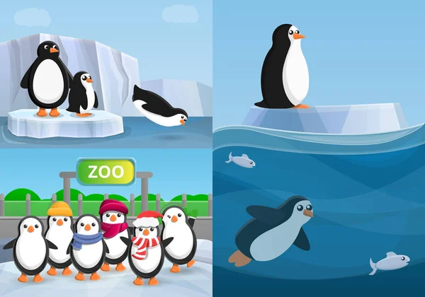 Conjunto de pancartas de pingüino, estilo de dibujos animados — Vector de stock