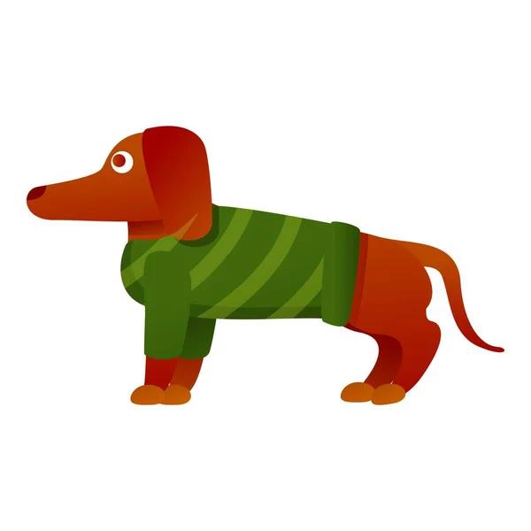 Dachshund sweater icon, cartoon style — Stock Vector