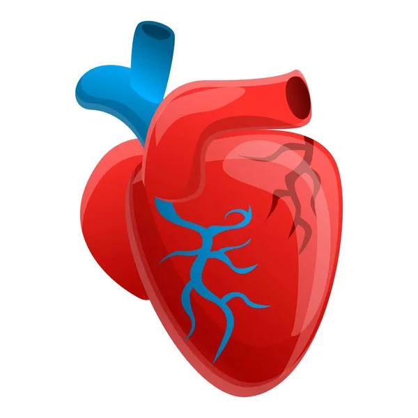 생물학적 인간의 심장 아이콘, 만화 스타일 — 스톡 벡터